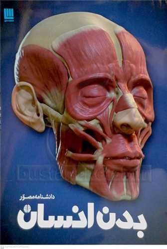 دانشنامه مصور   بدن انسان .