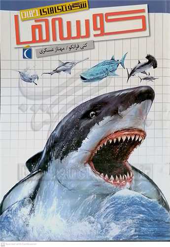 شگفتي هاي جهان   / کوسه  ها