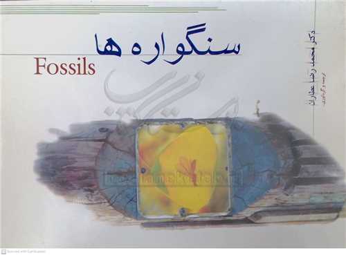 سنگواره   ها