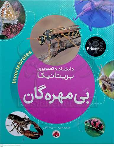 دانشنامه تصويري بريتانيکا / بي مهره گان