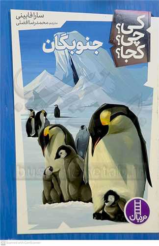 کي؟ چي؟ کجا؟/جنوبگان