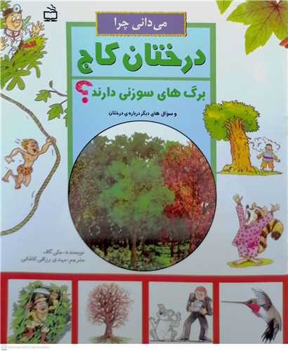 ميداني چرا درختاي کاج برگ هاي سوزني دارند