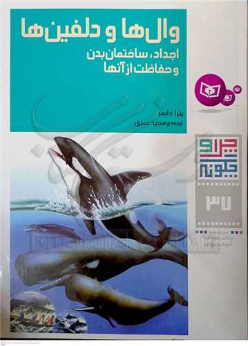 چرا و چگونه  37 وال‌ها و دلفين‌ها، اجداد و ساختمان بدن